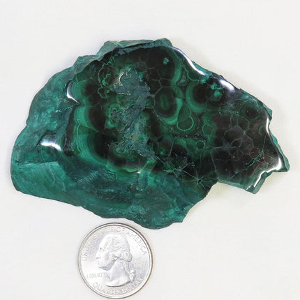 Polished Malachite Slice from Democratic Republic of the Congo