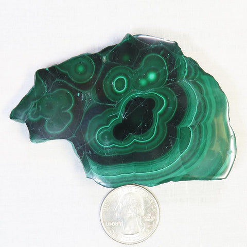 Polished Malachite Slice from Democratic Republic of the Congo