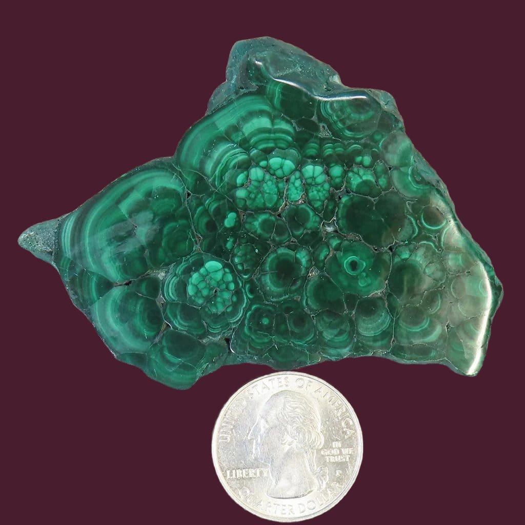 Polished Malachite Slice from Democratic Republic of the Congo