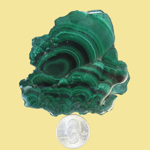 Polished Malachite Slice from Democratic Republic of the Congo