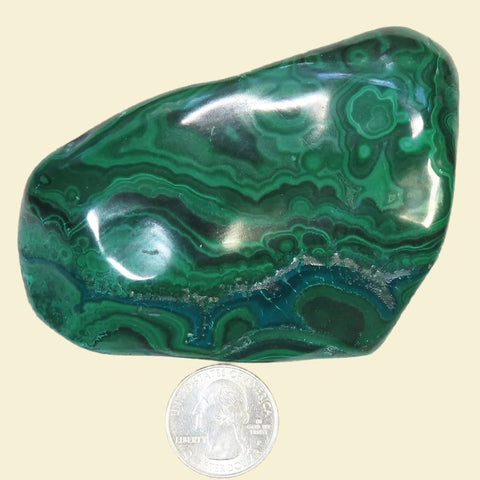 Polished Malachite Free Form with Chrysocolla from the Congo