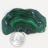 Polished Malachite Slice from Democratic Republic of the Congo