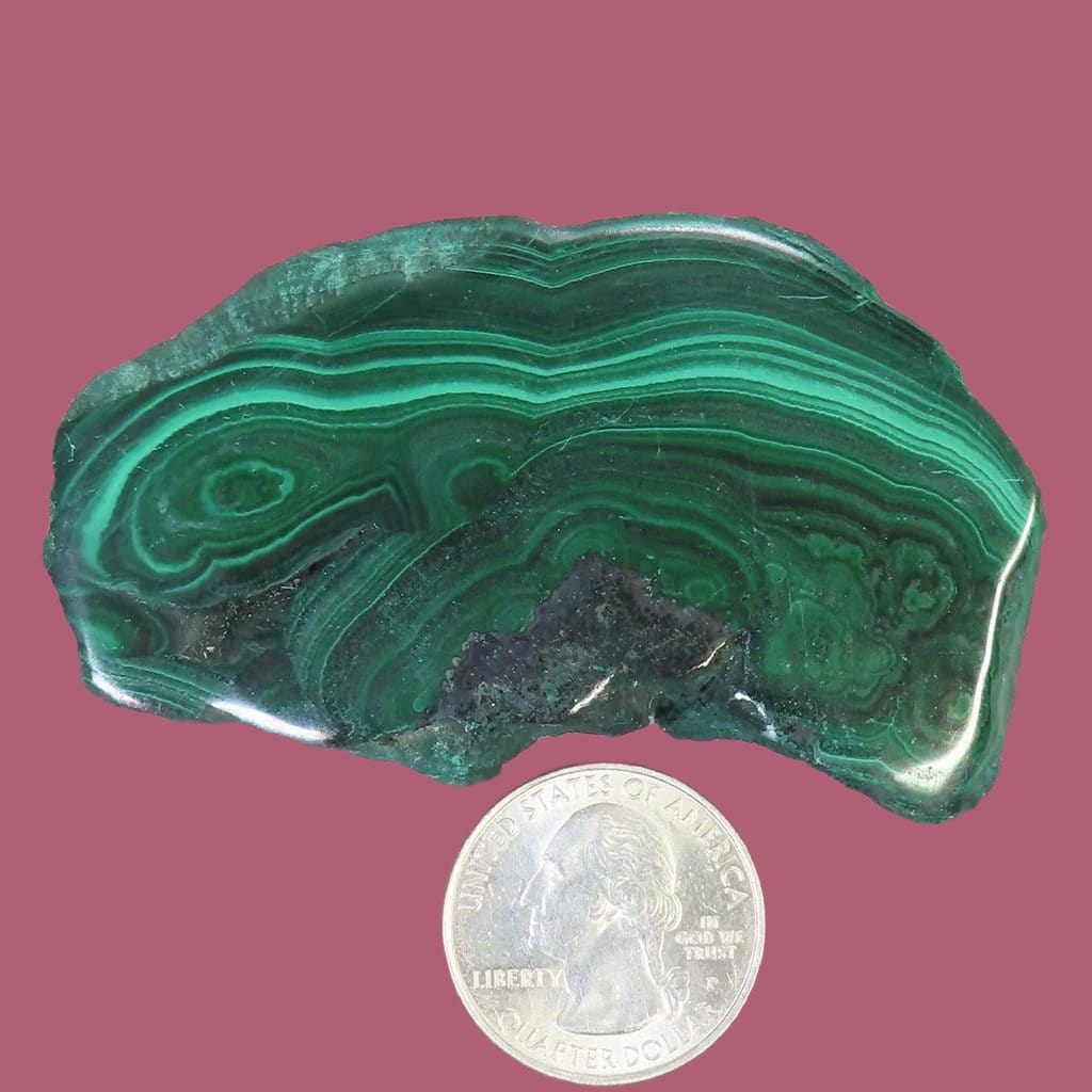 Polished Malachite Slice from Democratic Republic of the Congo