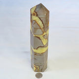 Large Polished Septarian Nodule Generator Point from Madagascar