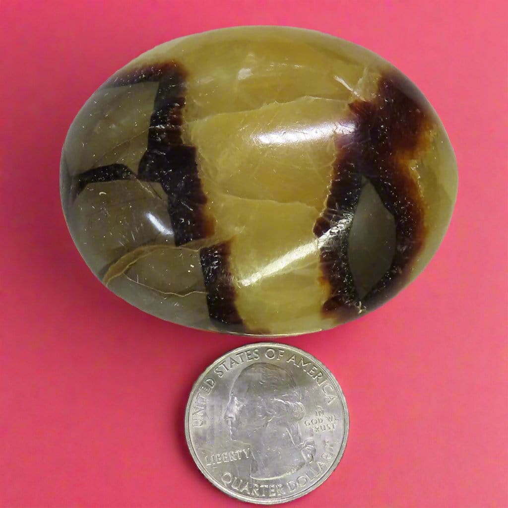 Polished Septarian Nodule Palm Stone from Madagascar