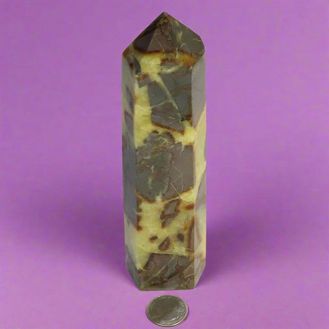 Polished Septarian Nodule Generator Point from Madagascar