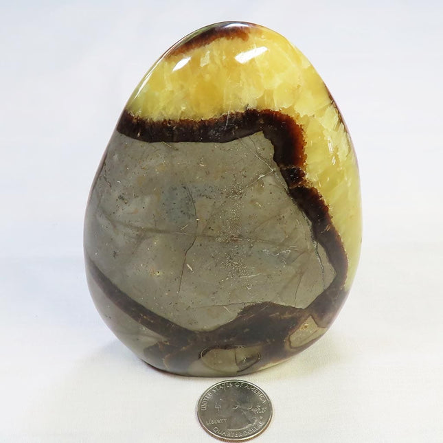 Polished Septarian Nodule Free Form from Madagascar