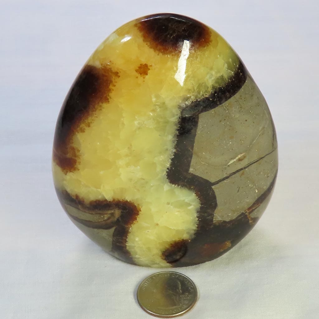 Polished Septarian Nodule Free Form from Madagascar