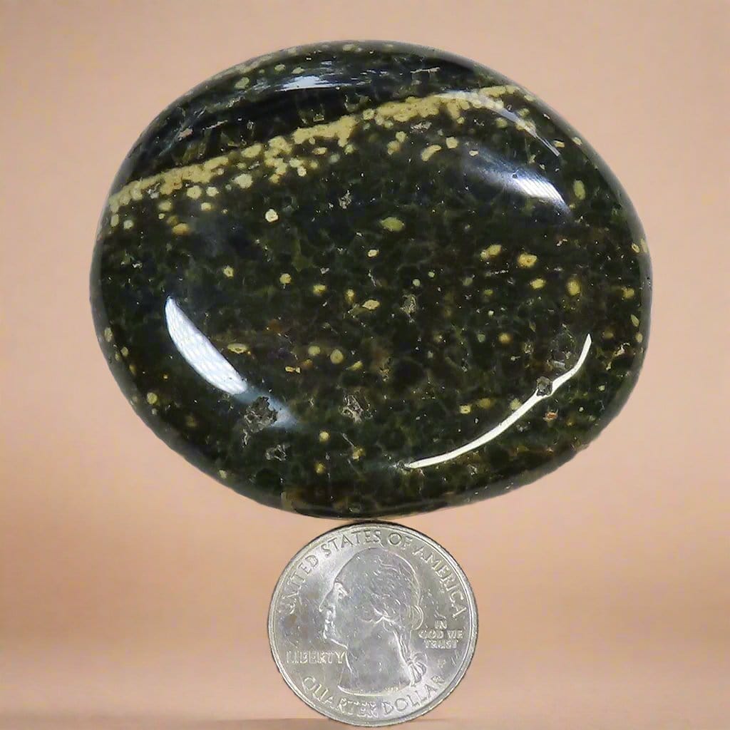 Polished Ocean Jasper Palm Stone from Madagascar