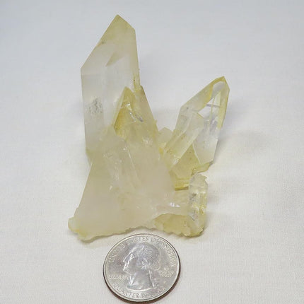 Arkansas Lemon Healer Quartz Crystal Cluster
