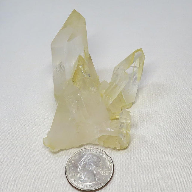 Arkansas Lemon Healer Quartz Crystal Cluster