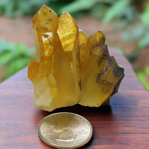 Arkansas Golden Healer Quartz Crystal Cluster with Rainbow Iridescence