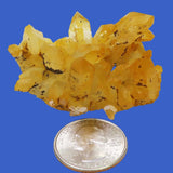 Arkansas Golden Healer Quartz Crystal Cluster w/ Time-Link Activation