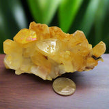 Arkansas Golden Healer Quartz Crystal Cluster with Rainbow Iridescence