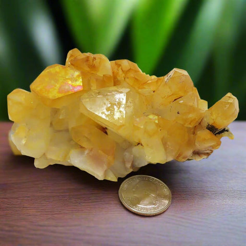 Arkansas Golden Healer Quartz Crystal Cluster with Rainbow Iridescence