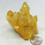 Arkansas Golden Healer Quartz Crystal Cluster w/ Record Keepers