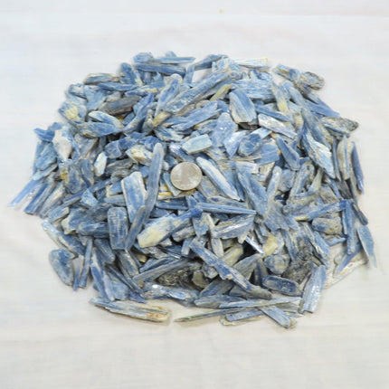 Hundreds of Blue Kyanite Pieces from Brazil