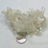 Arkansas Sand Phantom Quartz Crystal Burr Cluster