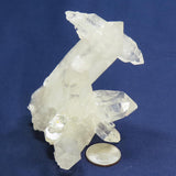 Arkansas Rare Quartz Crystal Cross Burr Cluster made of mostly DT/ET's
