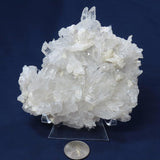 Arkansas Quartz Crystal Plate Cluster with Adularia Attached