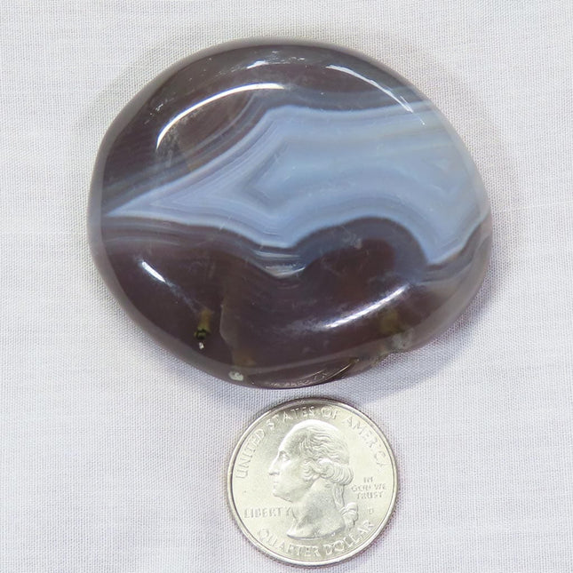 Polished Banded Agate Palm Stone from Madagascar