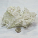 Arkansas Square Back Lemon Healer Quartz Crystal Cluster w/ Record Keepers