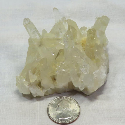 Arkansas Lemon Healer Quartz Crystal Cluster