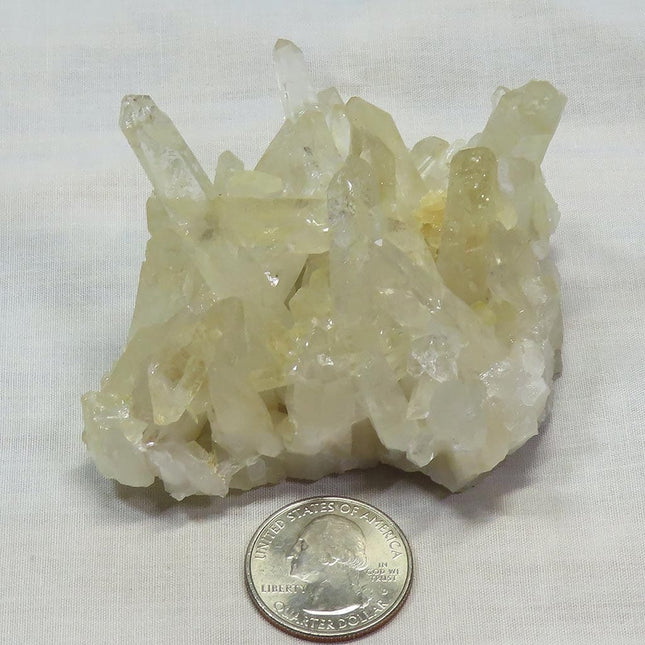 Arkansas Lemon Healer Quartz Crystal Cluster