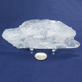 Arkansas Quartz Crystal Tabby Shard that is Self-Healed