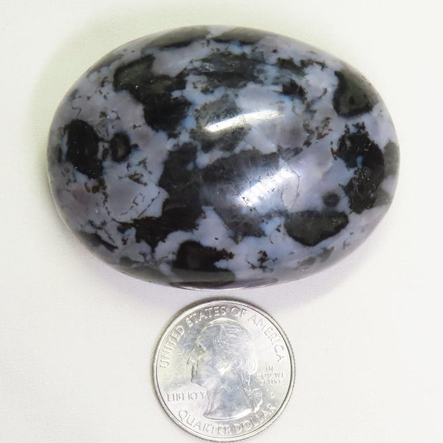 Polished Indigo Gabbro Palm Stone from Madagascar