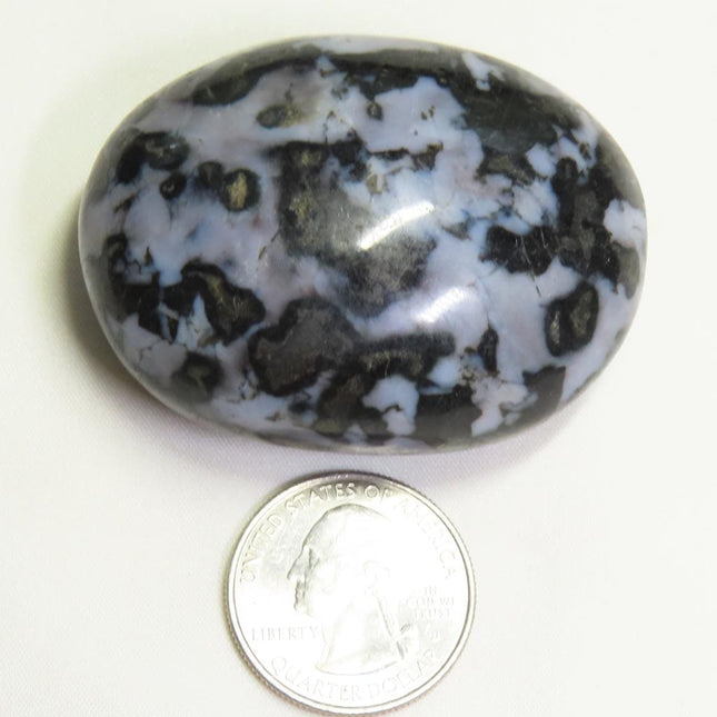 Polished Indigo Gabbro Palm Stone from Madagascar