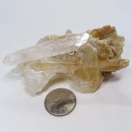 Arkansas Sand Phantom Quartz Crystal Burr Cluster w/ Faden-Line & DT's