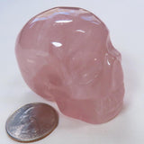 Carved Rose Quartz Crystal Skull with Rainbow from Brazil