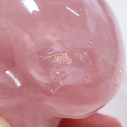 Carved Rose Quartz Crystal Skull with Rainbow from Brazil