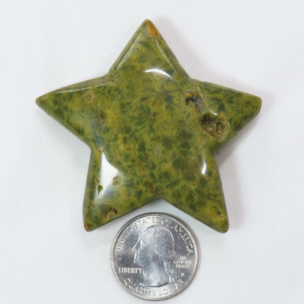 Polished Ocean Jasper Star from Madagascar