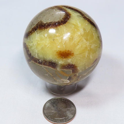 Polished Septarian Nodule Sphere Ball from Madagascar