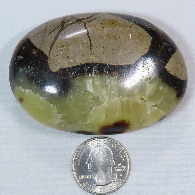 Polished Septarian Nodule Palm Stone from Madagascar
