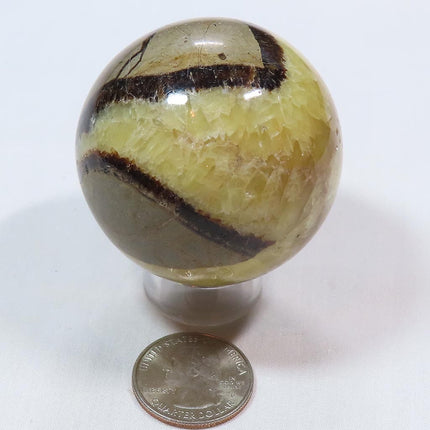 Polished Septarian Nodule Sphere Ball from Madagascar