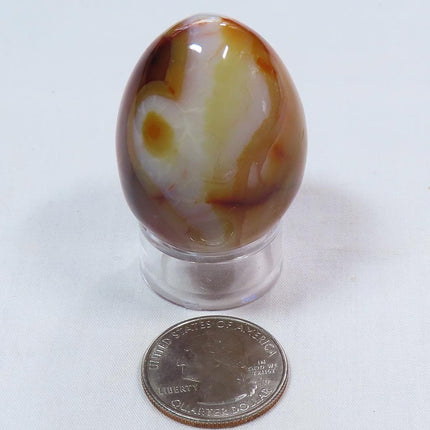Polished Carnelian Agate Egg from Madagascar