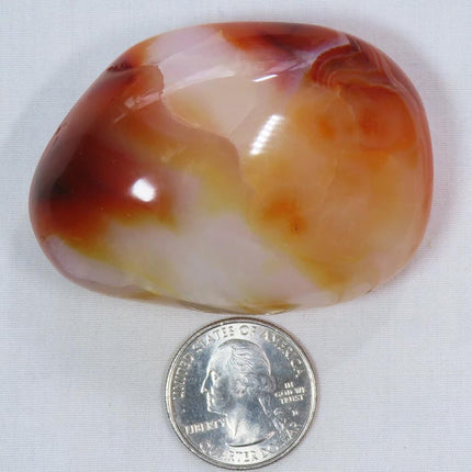 Polished Carnelian Agate Palm Stone from Madagascar