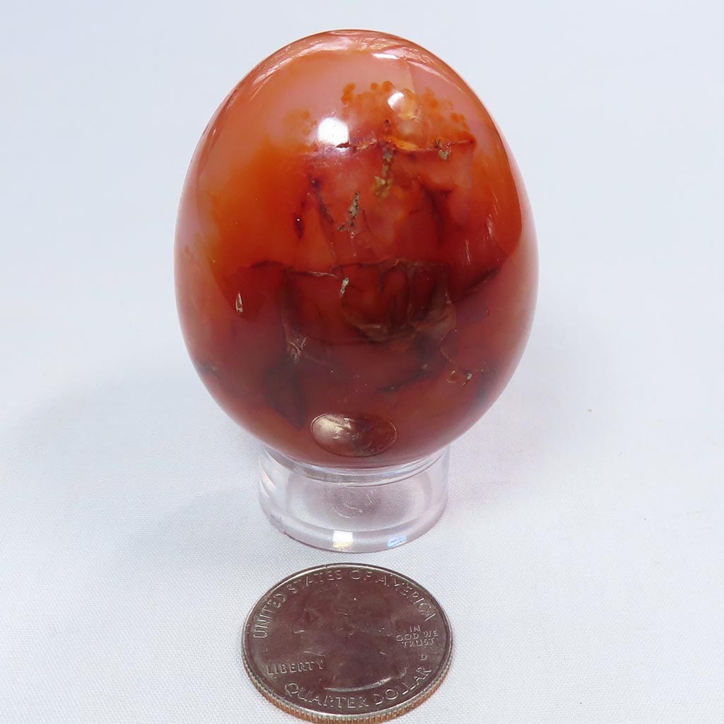 Polished Carnelian Agate Egg from Madagascar