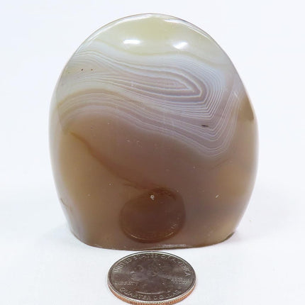 Polished Banded Agate Free Form from Madagascar