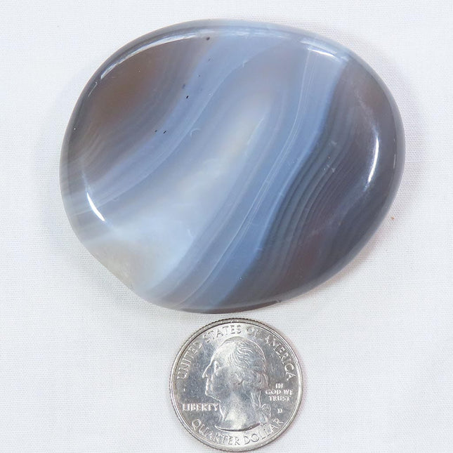 Polished Banded Agate Palm Stone from Madagascar