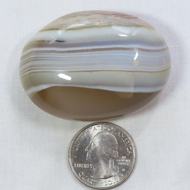 Polished Banded Agate Palm Stone from Madagascar