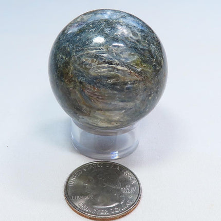 Polished Blue Kyanite in Quartz Sphere Ball from India