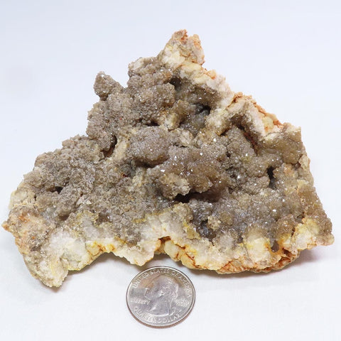 Arkansas Drusy Smoky Quartz Crystal Geode with White Opal Coating