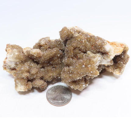 Arkansas Drusy Smoky Quartz Crystal Geode