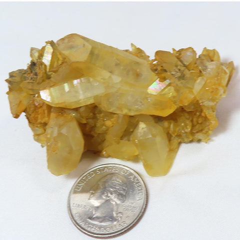 Arkansas Golden Healer Quartz Crystal Cluster with Rainbow Iridescence