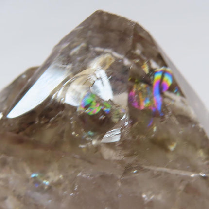 Arkansas Rare Smoky Skeletal Quartz Crystal Point with Rainbow