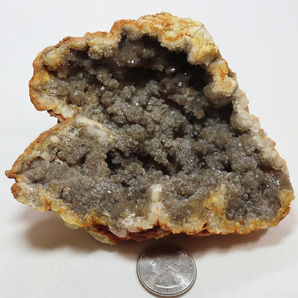 Arkansas Drusy Smoky Quartz Crystal Geode with White Opal Coating